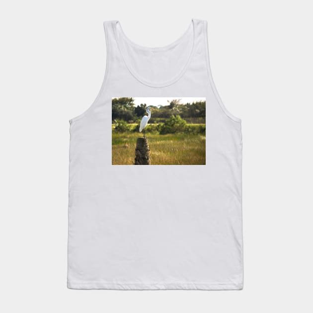 Egret Bird on a Tree Stump Florida Tank Top by Beautiful Cuteness